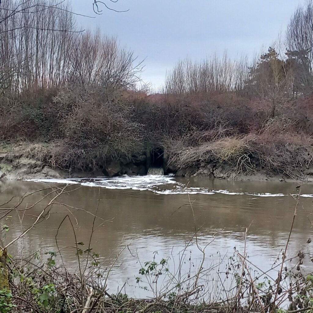 Crédit photo : Elise Florenty