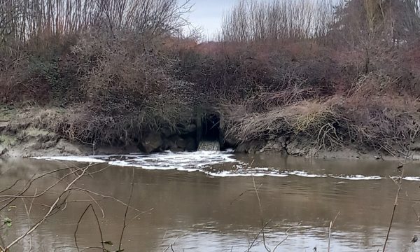 Crédit photo : Elise Florenty