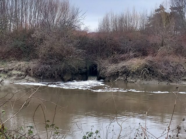 Crédit photo : Elise Florenty