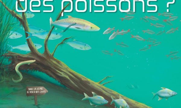 Crédit : Marie Legrand