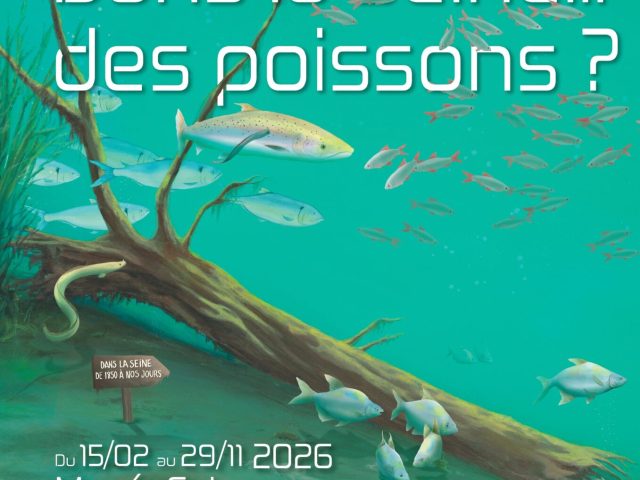 Crédit : Marie Legrand