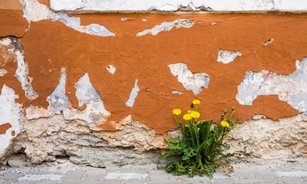 ATRE-Sauvages-de-ma-rue-nikola-johnny-mirkovic-scaled