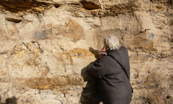 Alban Van Wassenhove Rand'Ornee 3