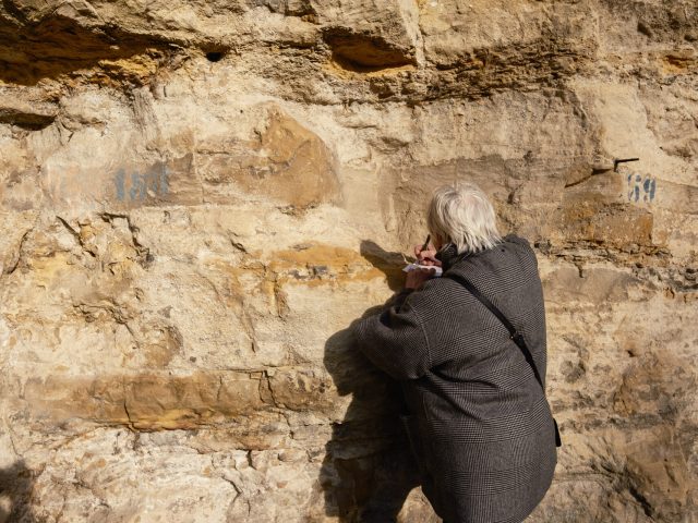 Alban Van Wassenhove Rand'Ornee 3