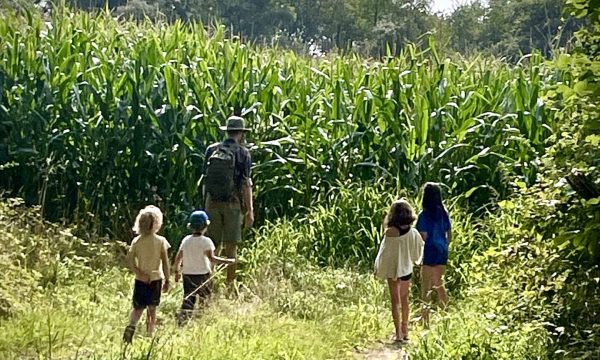 Crédit photo : Annabelle Buisson