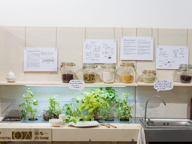 Crédit photo : Julien Hélie