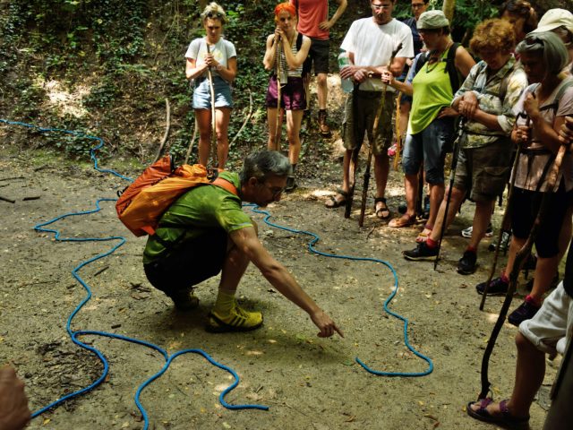 Crédit photo : Arya Dil